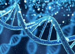 DNA gene helix spiral molecule structure