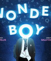 The words 'Wonder Boy', with the O in boy covering the head of an animated schoolboy