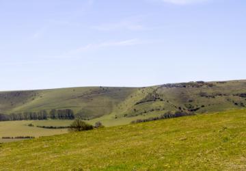 Fields in the Sussex countryside
