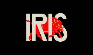 A logo saying 'Iris' with an illustrated bull behind it