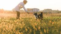 A woman in a field, playing with her dog