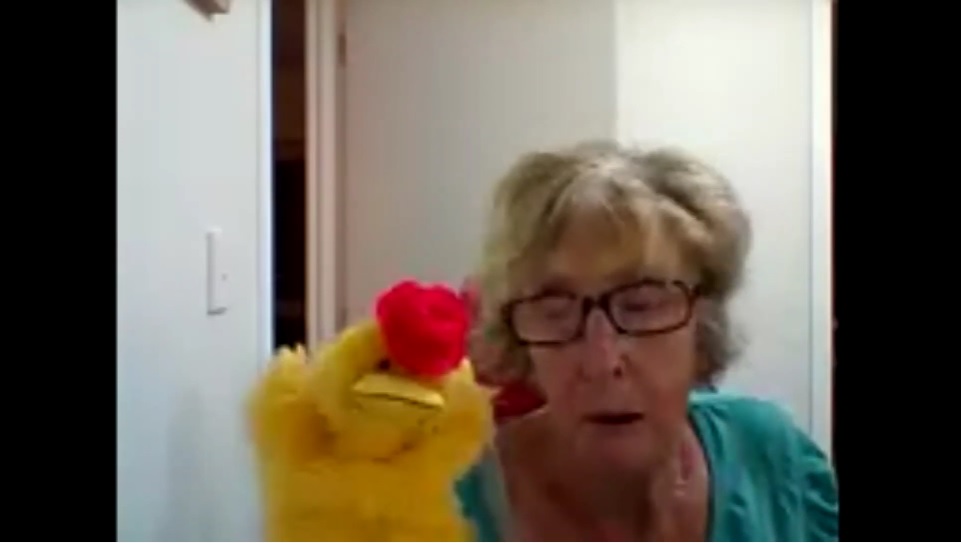 A woman on a video call holding a glove puppet